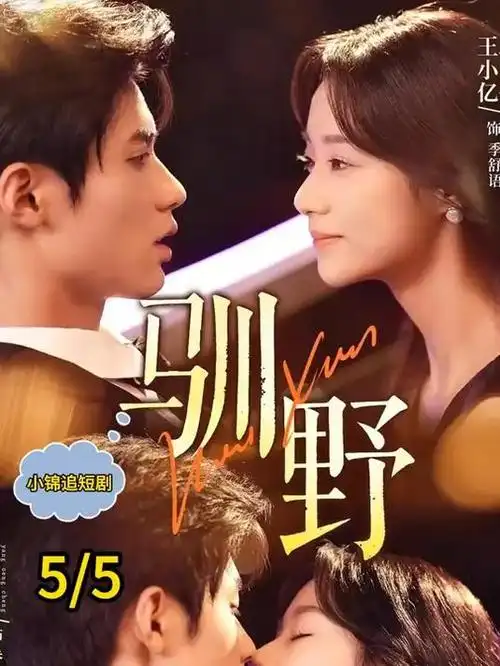 长夜将尽 热播电视剧全集在线观看